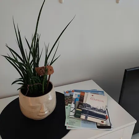 Vasaros Estrados Apartamentai, Self Check-in, Free Parking Apartment Klaipeda
